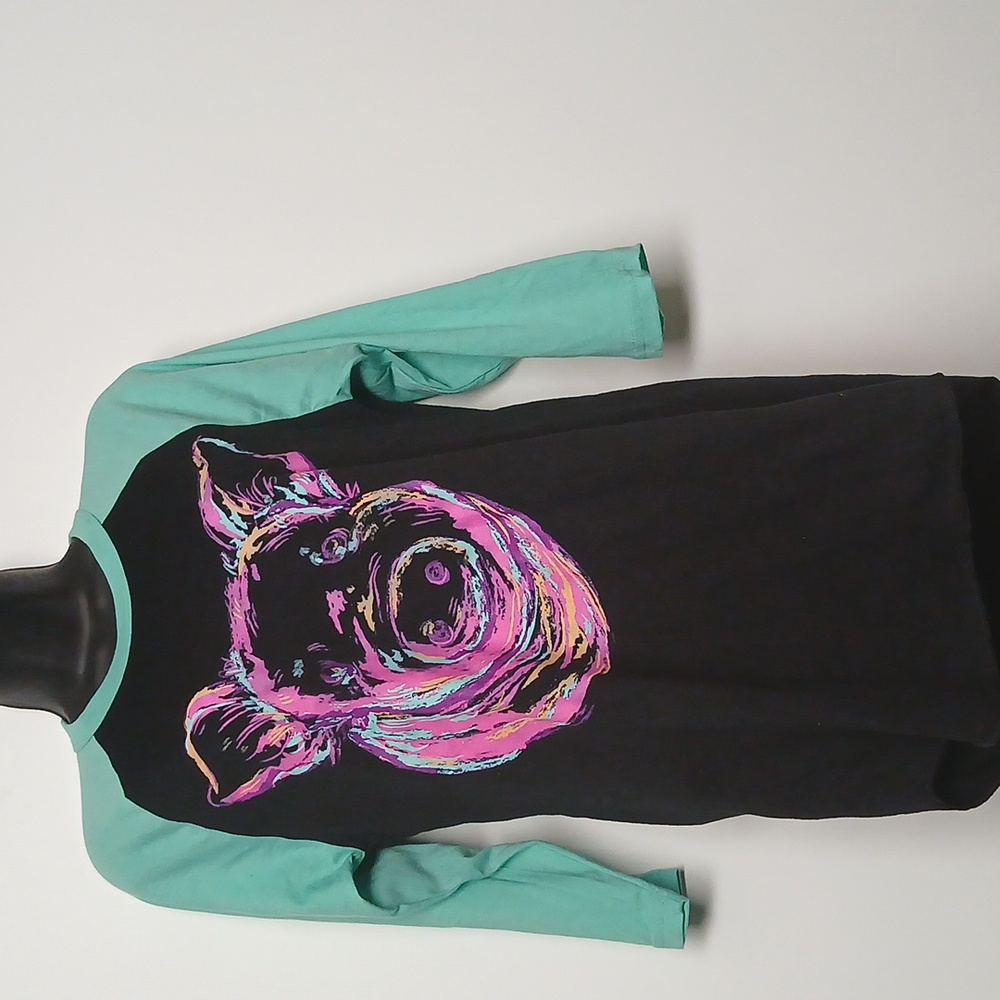 Crazy Train Teal Blk Pink Pig Graphic Raglan Longsleeves Shirt Size  Small EUC - Picture 3 of 7
